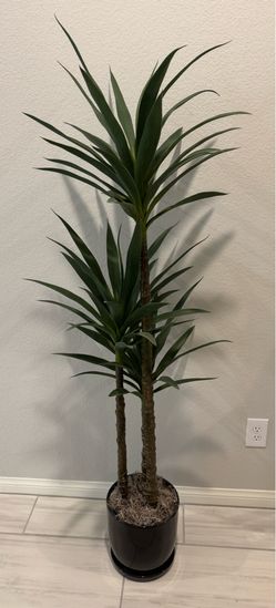 Artificial Plant