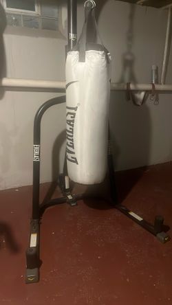 Everlasting punching bag And Gloves