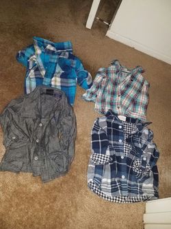 24m Boy Button Up & shirts