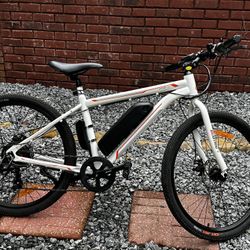 Electric Bike