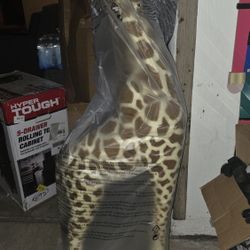 Giraffe  