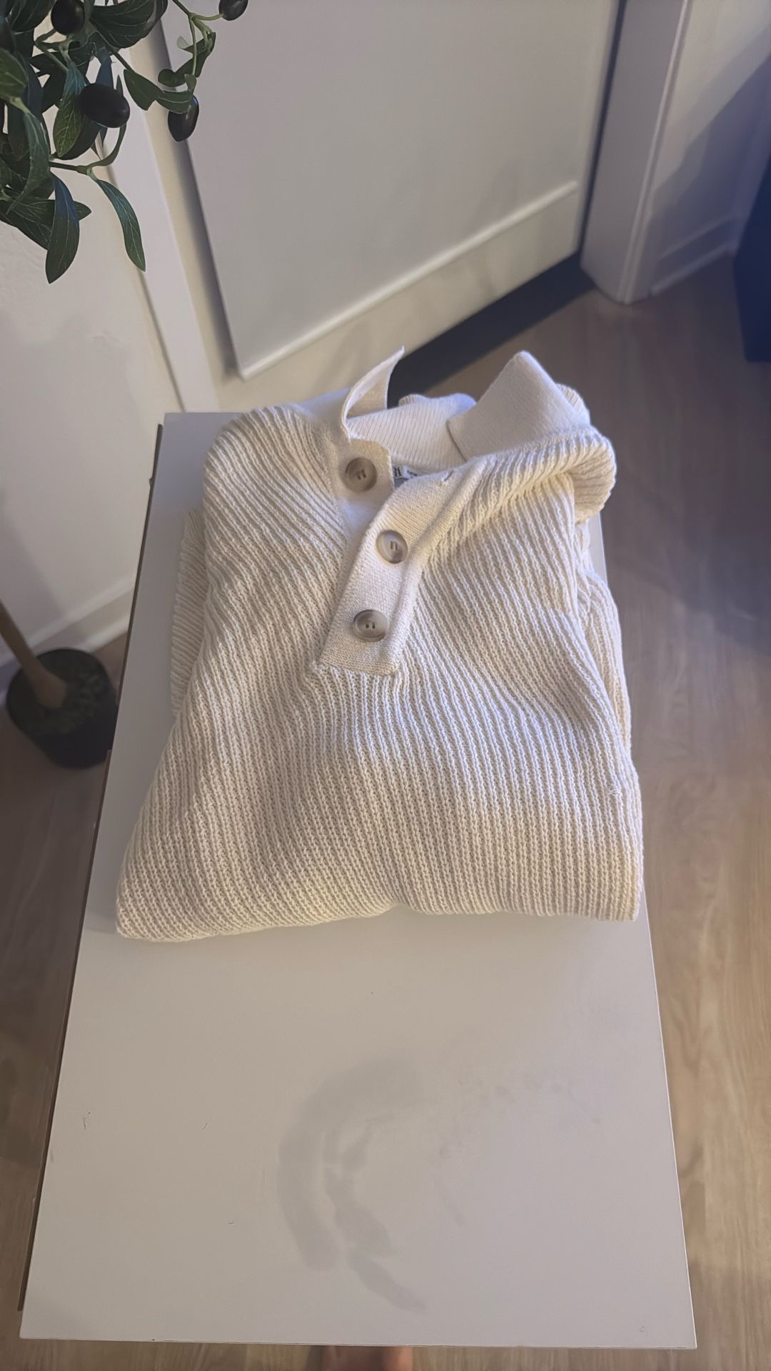 Zara Shirt
