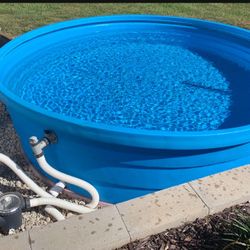 Summer Is Here Come On In The Water Is Cool - 1000 Gallon Pool With Filter And Pump