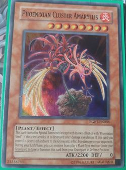 card cluster yugioh Water Dragon LEDU-EN036 1st Edition Super Rare Near Min You can target 1 face Cluster Congester | Yu-Gi-Oh! Wiki
