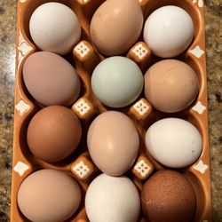Fresh Organic Eggs