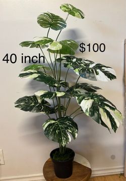 artificial plant ( brand new)