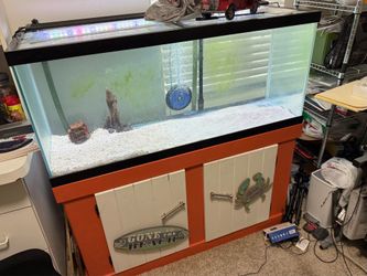 150 gallon tank with the stand with the filter