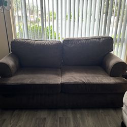 Pull out sofa coach
