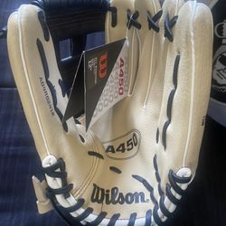 Wilson A450 12” Baseball Glove