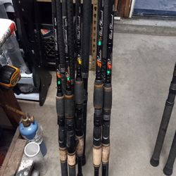 Phenix Black Diamond Inshore Casting Series Fishing Rods