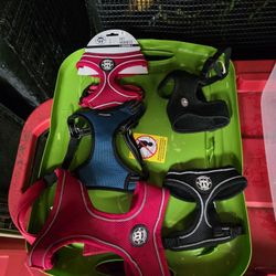 Dog Harness 