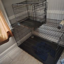 XXL And Small Dog Cage