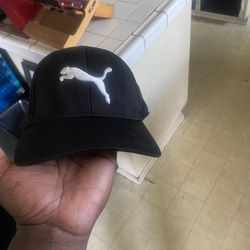 Hats For Cheap $10 