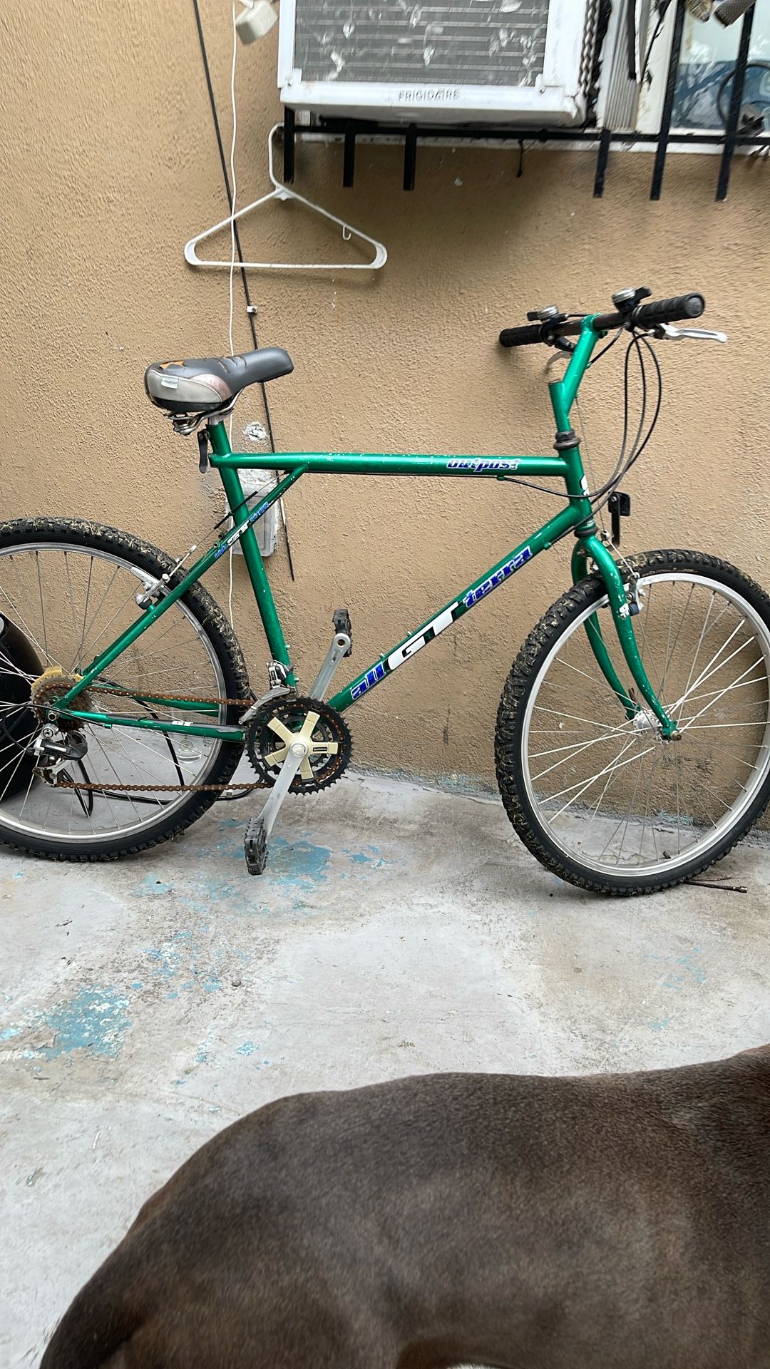 GT BIKE