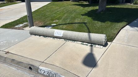 FREE large shag area rug 9x13