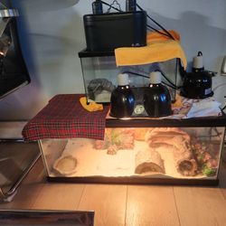 Reptile Tank 20 Gallon 