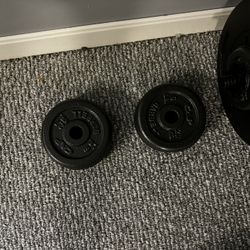 Dumb Bells And Various Weights 