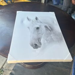 Canvas Horse Frame/Painting 