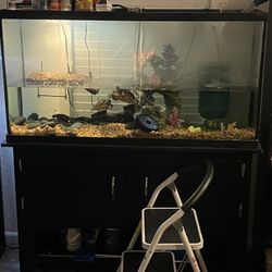 60gal Tank
