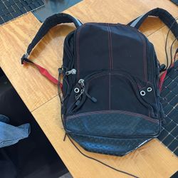 Really Nice Roomie, Red And Black Backpack