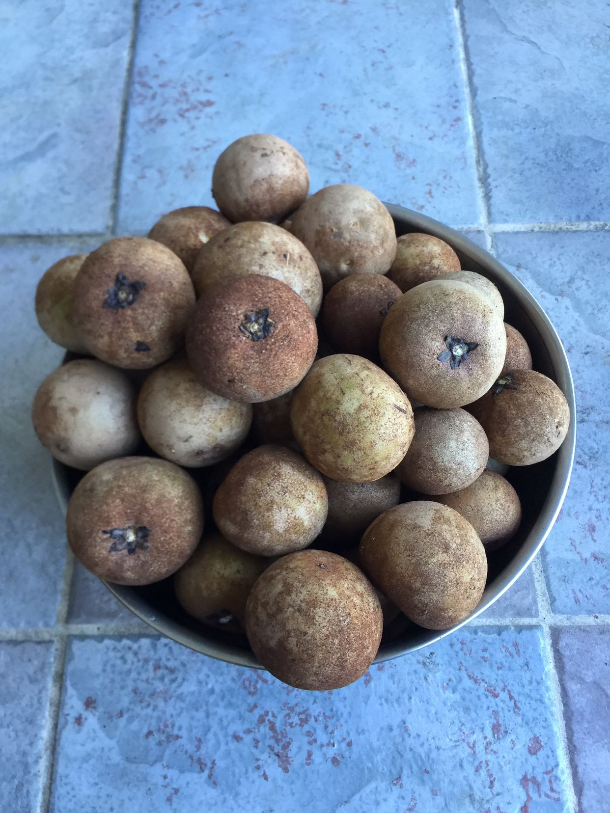 Organic Sapodilla