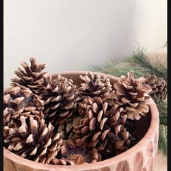 Pinecones Woodland Fall Autumn Thanksgiving Decorative Wedding Winter Christmas Decor Decorations