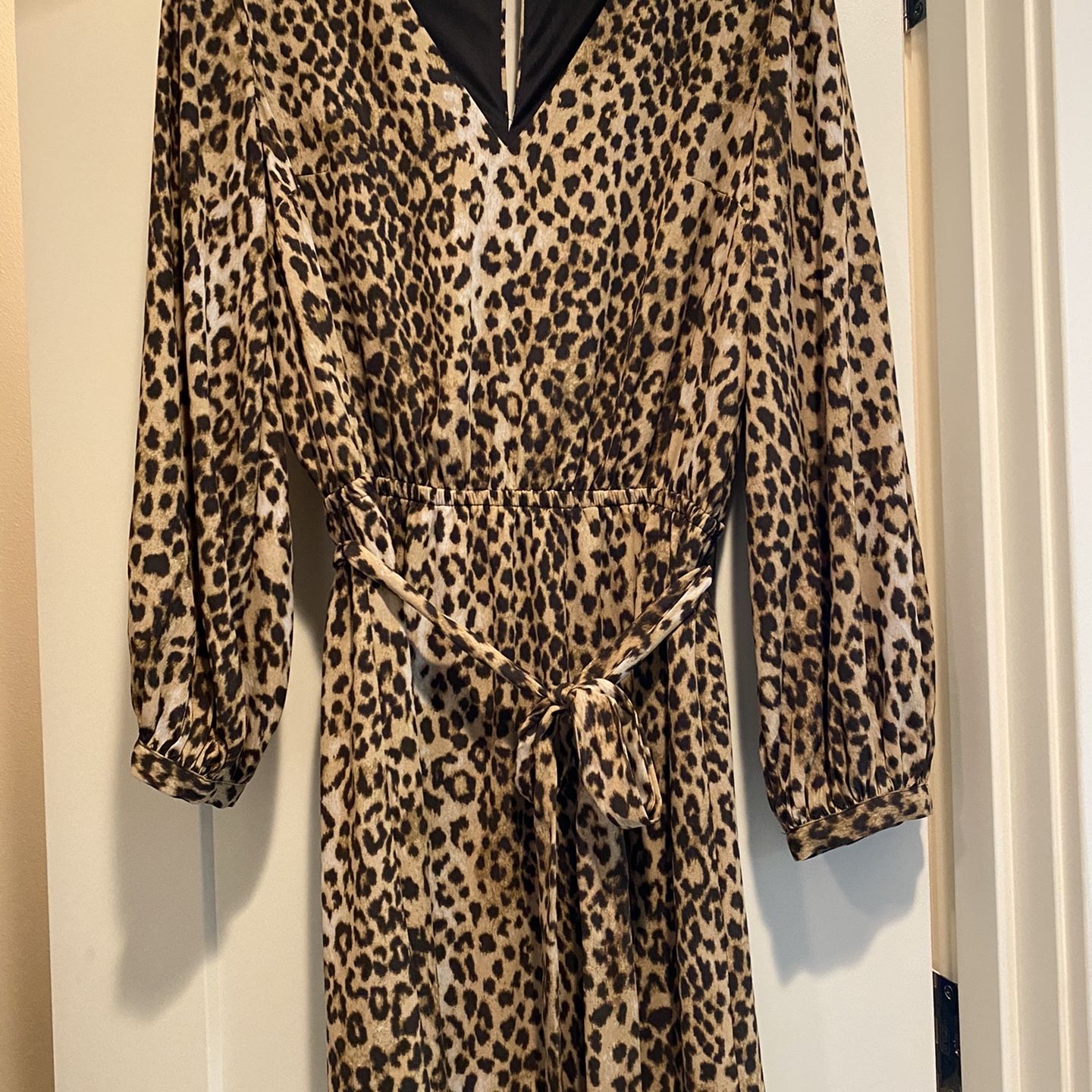 Express Leopard Dress