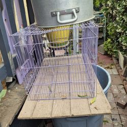 Paula Para Pajaro $5