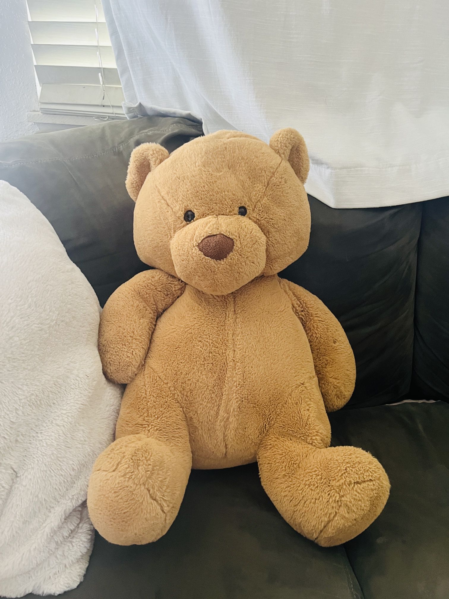 Teddy Bear 21 Inches 