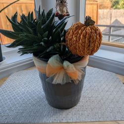 Hostess gift  for Thanksgiving 