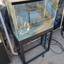 30 Gallon Fish Tank 