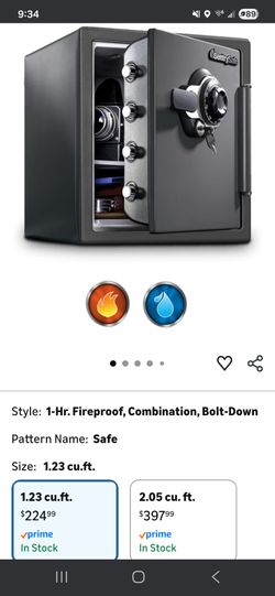 Sentry safe