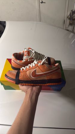 Nike dunk sb orange lobsters