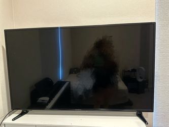 55” tv insignia with remote