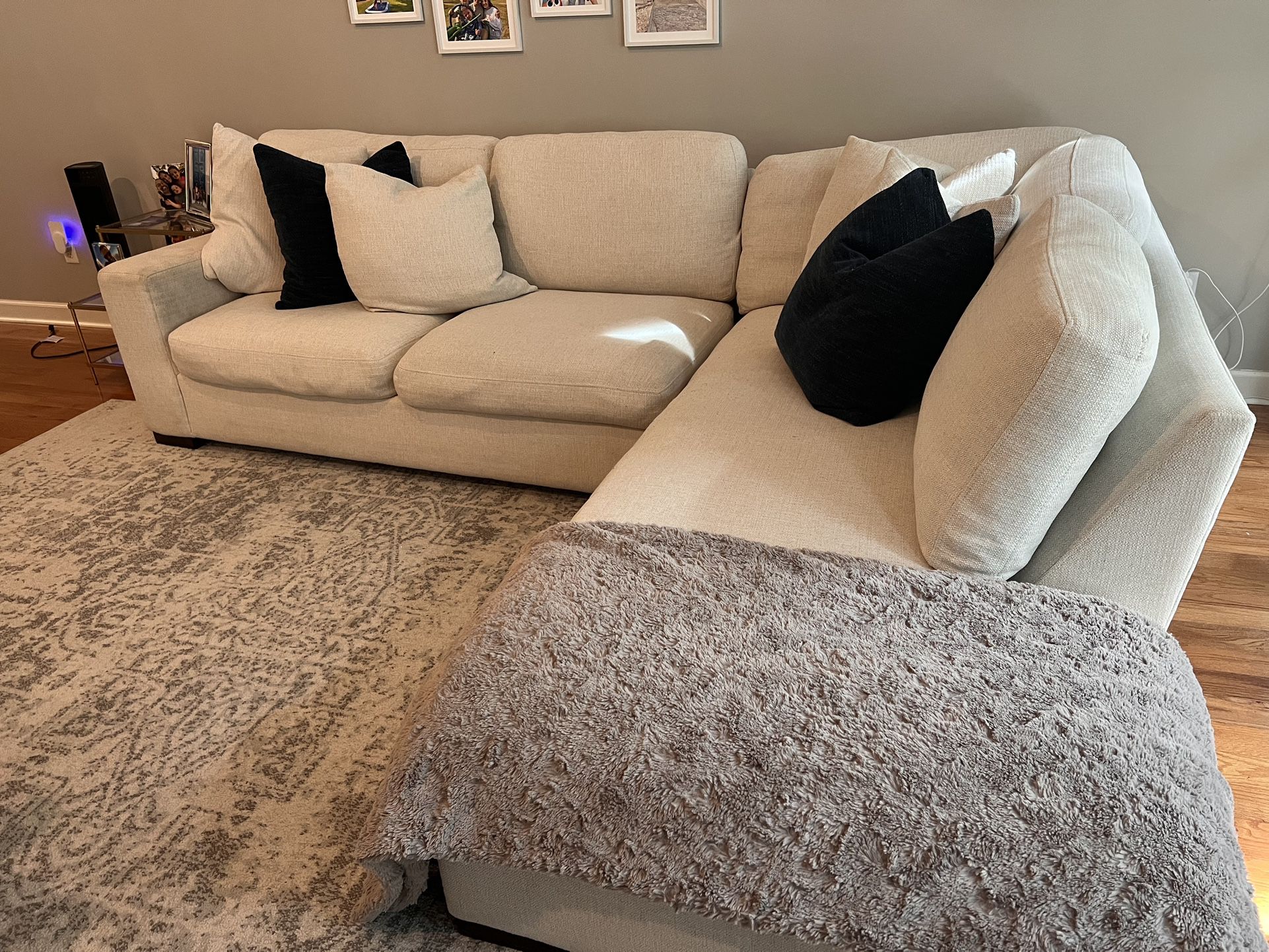 Z Gallerie Sofa + Sectional 