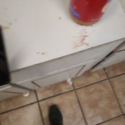 Motorola Android Cell Phone 