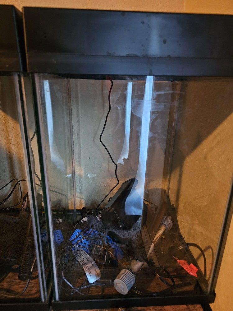 10 GALLON FISH TANK