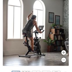 ProForm Pro Trainer 500 Exercise Bike