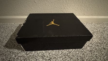 Jordan Retro 12's fiba
