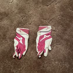 Mizuno And Easton Softball  Gloves And UA Pants