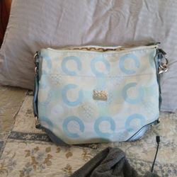 Lite Blue Coach Purse