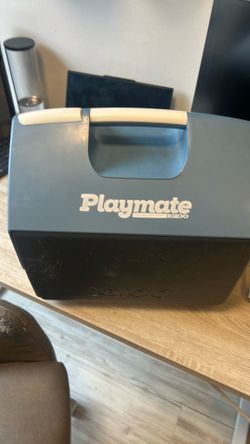 Igloo small cooler