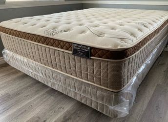 Queen organic cloud edition Europillow top 12inch Matres!