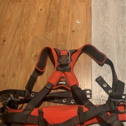 Harness