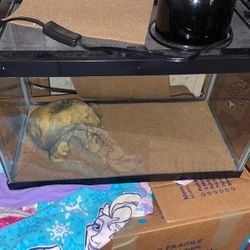 Lepoard Gecko Tank