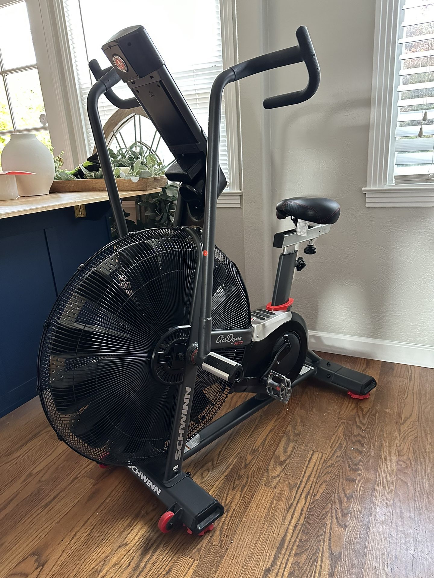 Schwinn AirDyne AD7 Exercise Bike