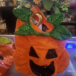 Dog Halloween Costumes 