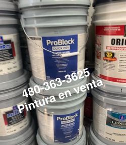 Pintura Paint