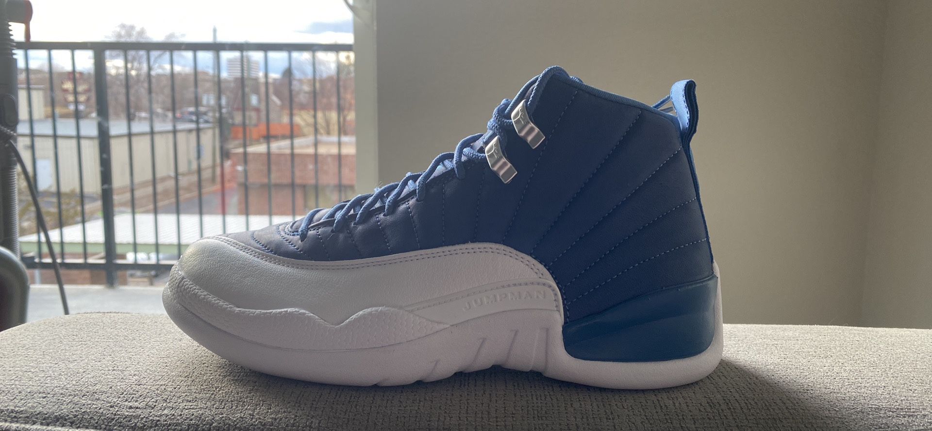 Indigo Jordan 12s