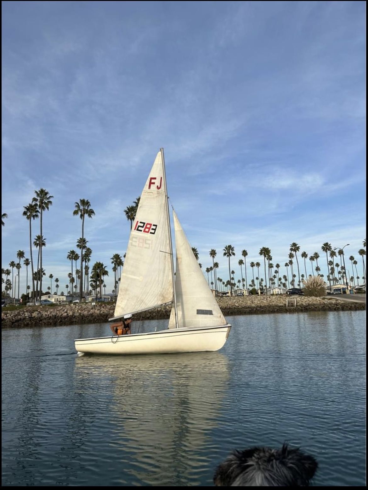 2003 CFJ Sail Boat 